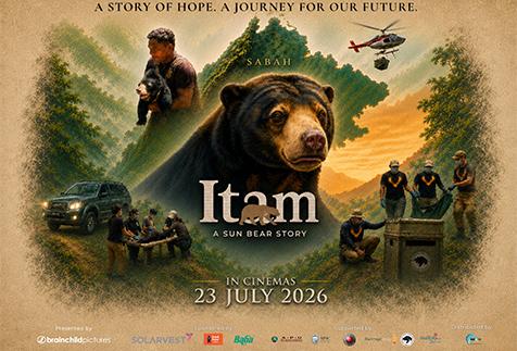 ITAM:  A SUN BEAR STORY